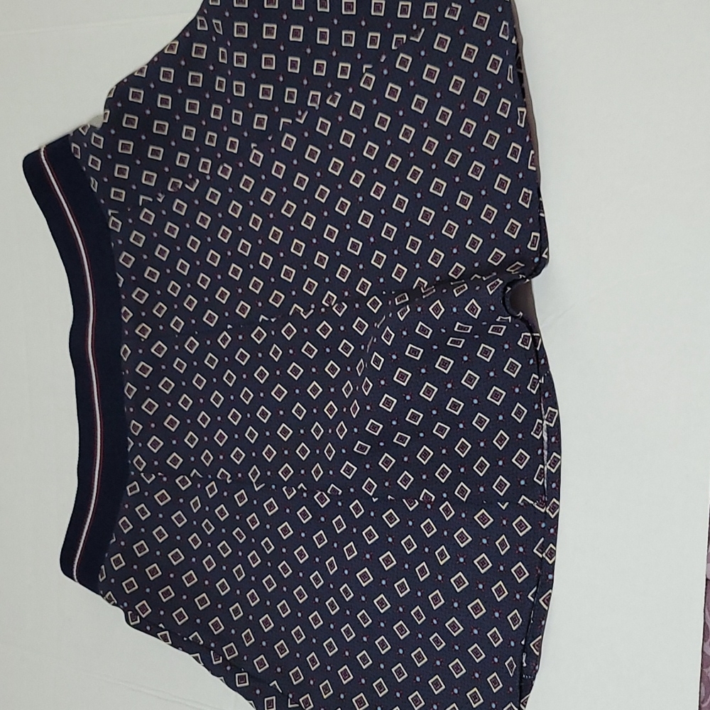 Zara Trafaluc Aline Skirt